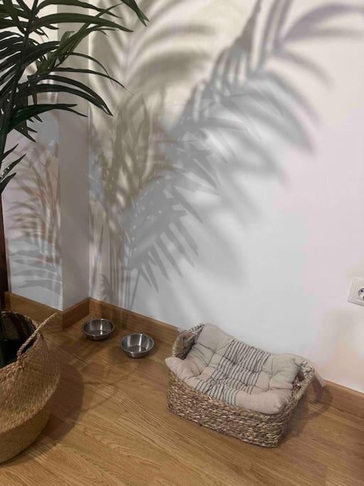 Apartamento El Picu Collanzo エクステリア 写真
